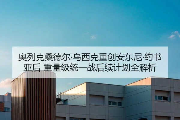 奥列克桑德尔·乌西克重创安东尼·约书亚后 重量级统一战后续计划全解析