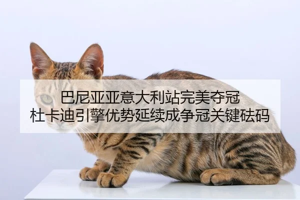 巴尼亚亚意大利站完美夺冠 杜卡迪引擎优势延续成争冠关键砝码
