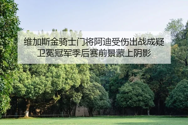 维加斯金骑士门将阿迪受伤出战成疑 卫冕冠军季后赛前景蒙上阴影