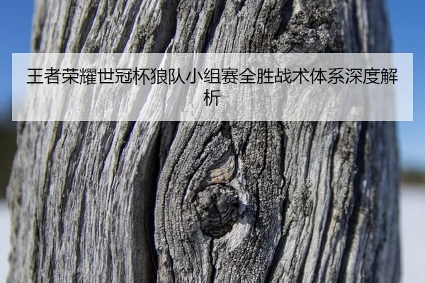 王者荣耀世冠杯狼队小组赛全胜战术体系深度解析